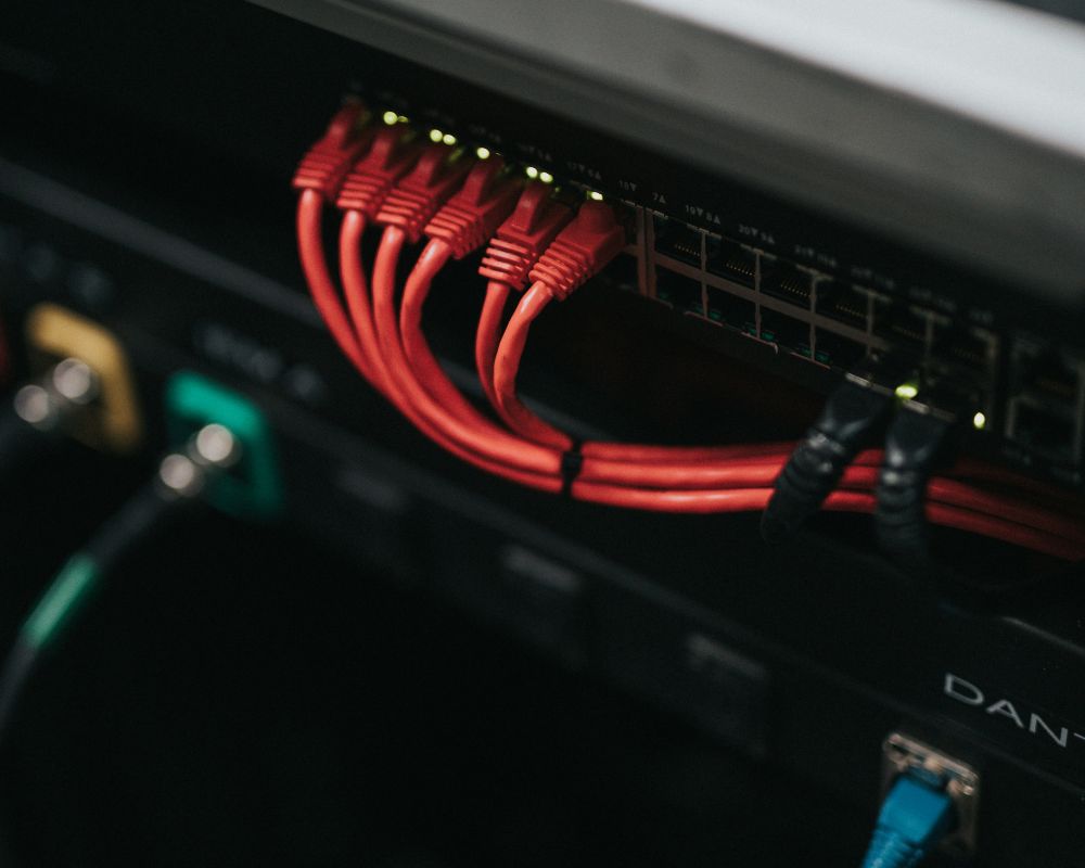 Ethernet cables connected to business networking equipment